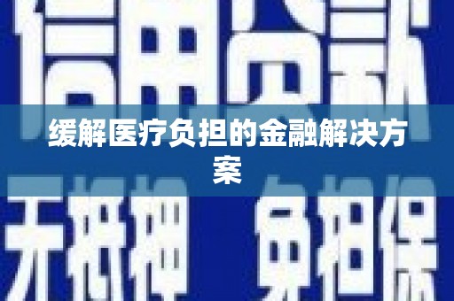 西夏缓解医疗负担的金融解决方案