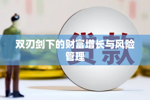 西夏双刃剑下的财富增长与风险管理