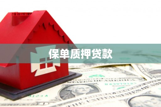 西夏保单质押贷款