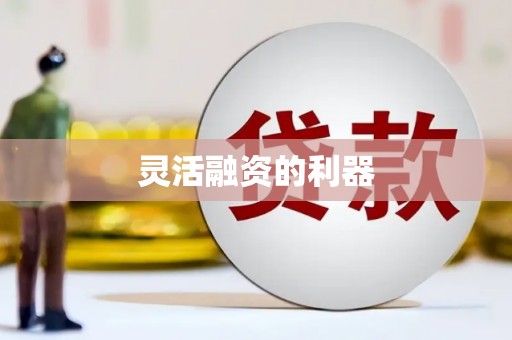 西夏灵活融资的利器