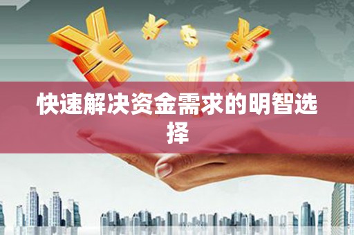 西夏快速解决资金需求的明智选择