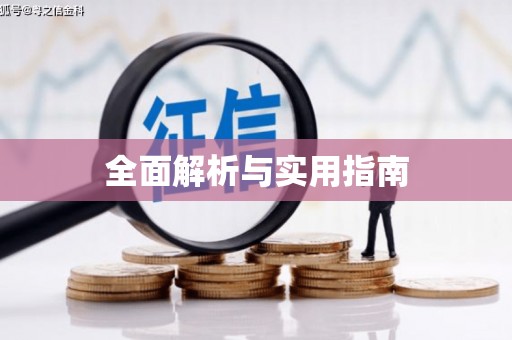 西夏全面解析与实用指南