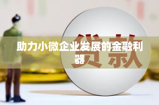 西夏助力小微企业发展的金融利器