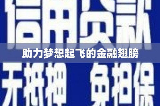西夏助力梦想起飞的金融翅膀
