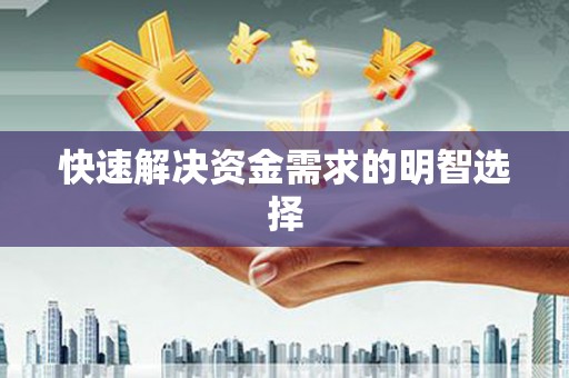 西夏快速解决资金需求的明智选择
