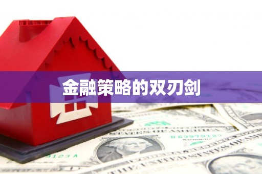 西夏金融策略的双刃剑