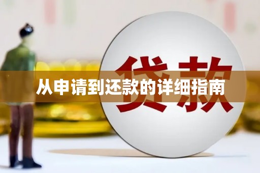 西夏从申请到还款的详细指南