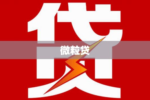 西夏微粒贷
