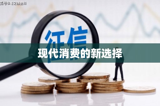 西夏现代消费的新选择