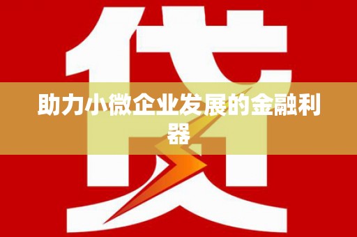 西夏助力小微企业发展的金融利器