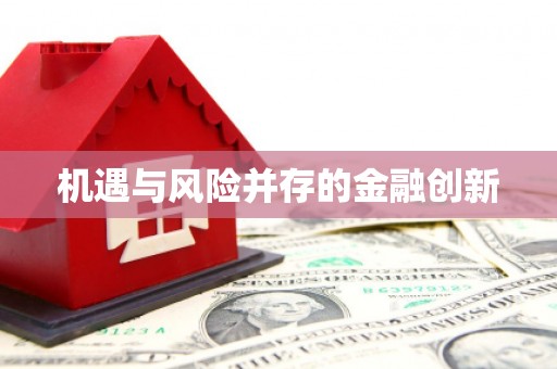 西夏机遇与风险并存的金融创新
