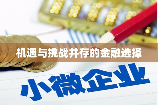 西夏机遇与挑战并存的金融选择