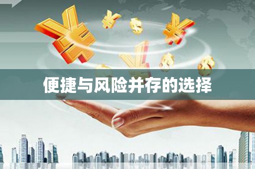 西夏便捷与风险并存的选择