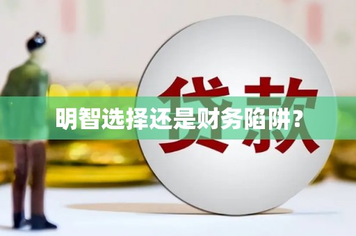 西夏明智选择还是财务陷阱？