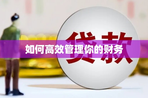 西夏如何高效管理你的财务