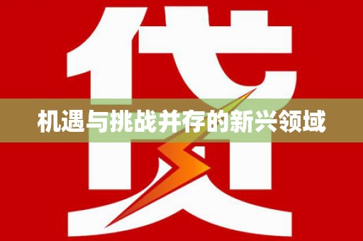 西夏机遇与挑战并存的新兴领域