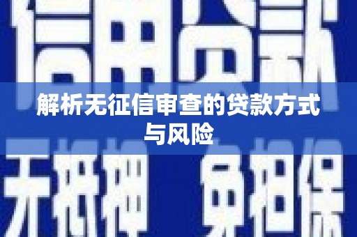 西夏解析无征信审查的贷款方式与风险