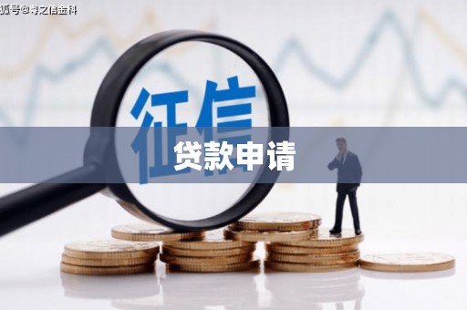 西夏贷款申请