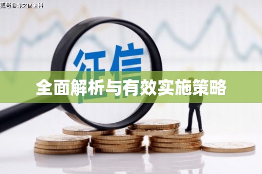 西夏全面解析与有效实施策略