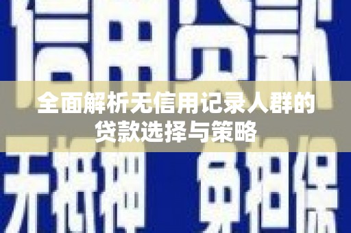 西夏全面解析无信用记录人群的贷款选择与策略