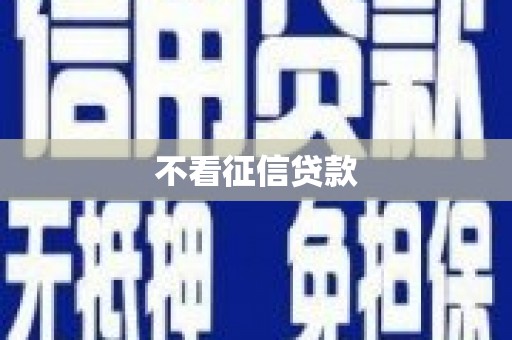 西夏不看征信贷款