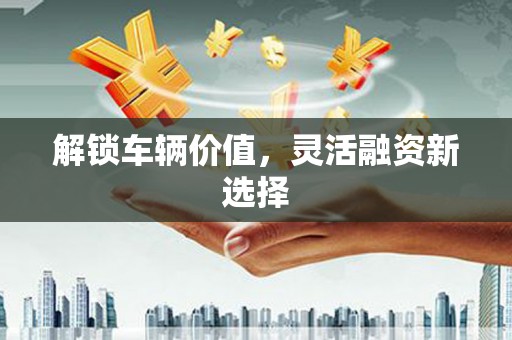 西夏解锁车辆价值，灵活融资新选择