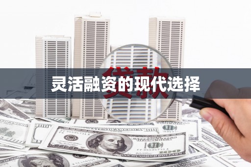 西夏灵活融资的现代选择