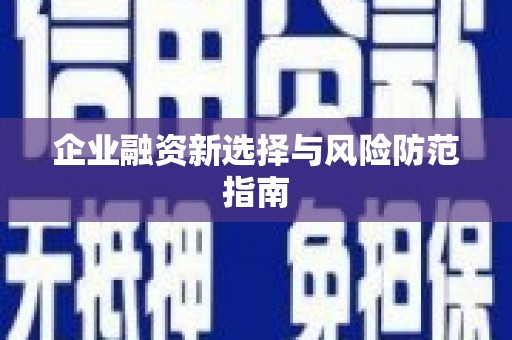 西夏企业融资新选择与风险防范指南