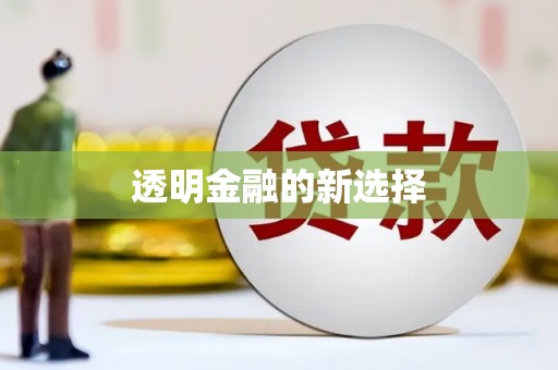 西夏透明金融的新选择