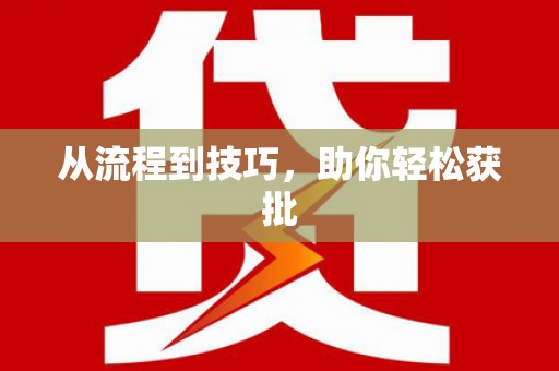 西夏从流程到技巧，助你轻松获批