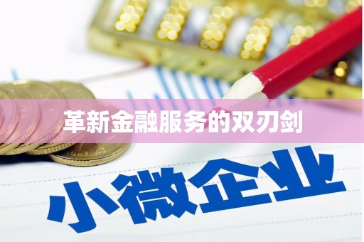 西夏革新金融服务的双刃剑