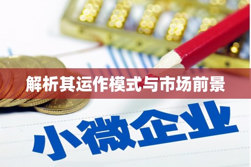 西夏解析其运作模式与市场前景