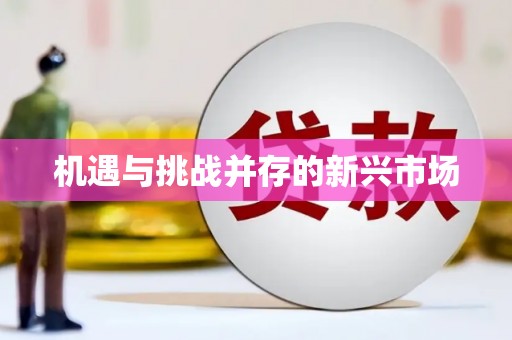 西夏机遇与挑战并存的新兴市场