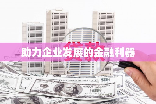 西夏助力企业发展的金融利器
