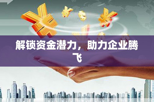 西夏解锁资金潜力，助力企业腾飞