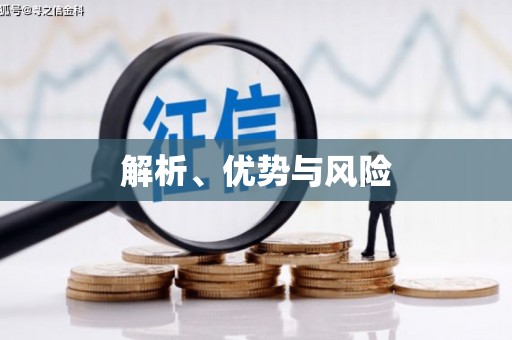 西夏解析、优势与风险