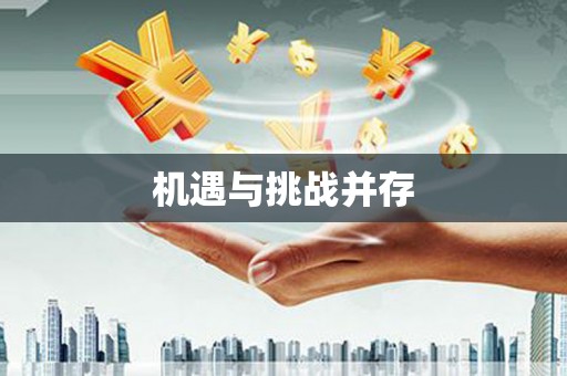 西夏机遇与挑战并存
