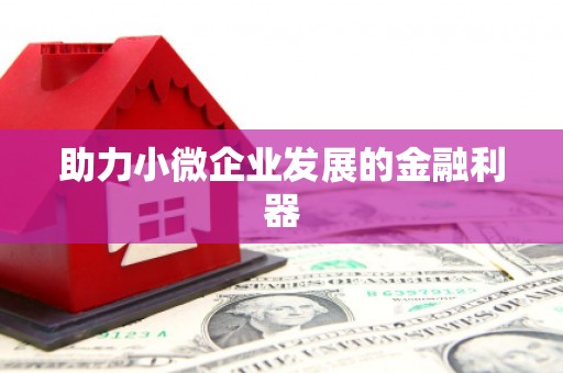 西夏助力小微企业发展的金融利器