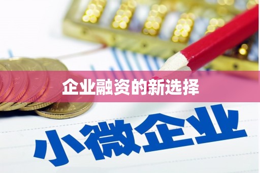 西夏企业融资的新选择