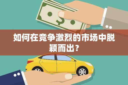 西夏如何在竞争激烈的市场中脱颖而出？