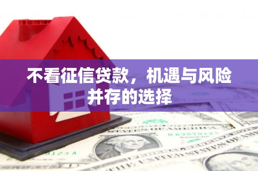 西夏不看征信贷款，机遇与风险并存的选择
