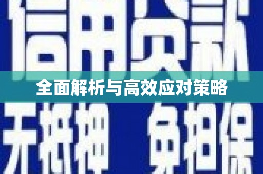 西夏全面解析与高效应对策略