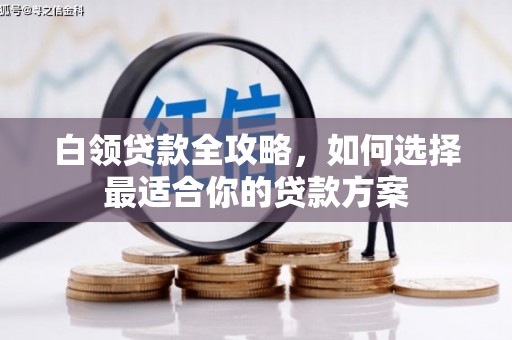 西夏白领贷款全攻略，如何选择最适合你的贷款方案