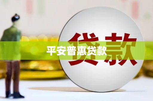 西夏平安普惠贷款