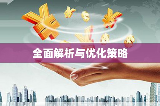 西夏全面解析与优化策略