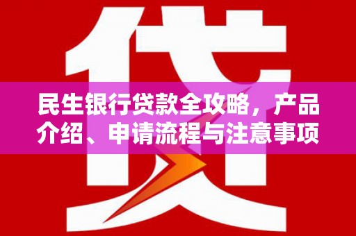 西夏民生银行贷款全攻略，产品介绍、申请流程与注意事项